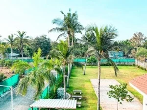 WhatsApp-Image-2024-11-28-at-1.01.53-PM-300x225