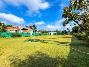 WhatsApp-Image-2024-11-28-at-1.02.06-PM-2-300x225